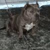 frank.jair.delgad