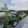 boonsong.3