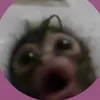 seeyaelenaa