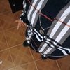 luisolvera5709