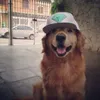 lordjohxxd
