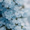 maryam_98766