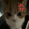 n4nn_a