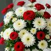 jothi.jothi208