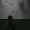 inianiie