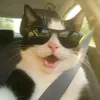 jaymarkmyword1