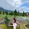 ulanyln6