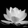 minh.nguyn4782