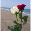 user4053943020019