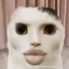 nht.minh.phm56