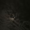 user220605260605