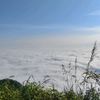 anggun_270816