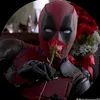 davidxtrl