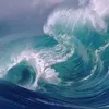 wavehunters_realacc