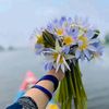 abdulalimalim6028