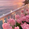 alina_linchen.15