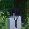 kingroblox8