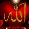 nusrakareemnusra
