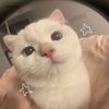 little.esther1