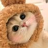 citrasaris_