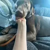 daisy.213krkr3kr3krkr3k1