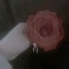 user8231681759507