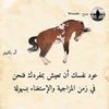 user427630914938