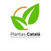 Plantascatalá