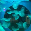 fish3642