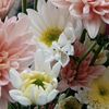 humaira_1021