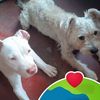 lucy.mary.de.l