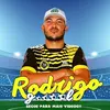 rodrigogooool