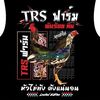 trs45597