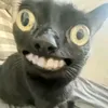 im_keon_mapunkot