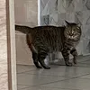 meow_meow819