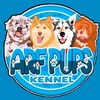 ARF PUPS KENNEL 🐾