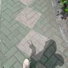 irma_yann111