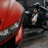 r15varrrrio