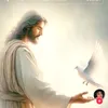 bisola_1705