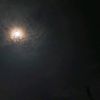 gilz_6782
