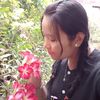 lin.lin4010