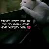 melakmelmelak