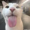 itsrxc