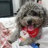 linhvu9609