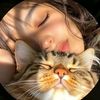 lolaa_257