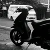 giw_29