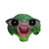 fadillaaxxx