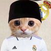 real_madrid15.champion