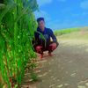 user90315821563355