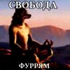 cocicka233